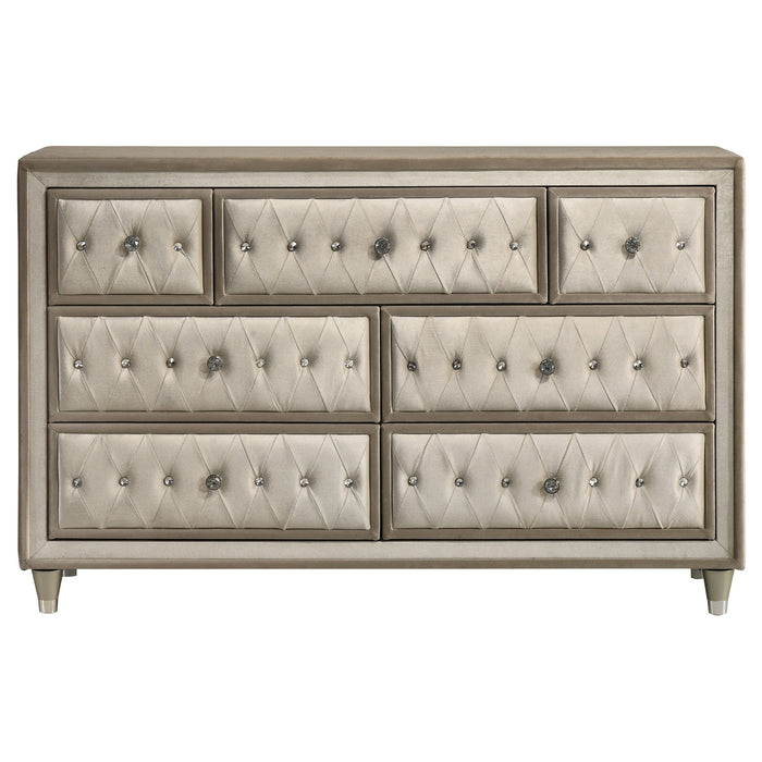 Antonella Dresser